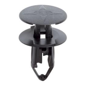 RESTAGRAF 12130 Moldura de puerta RENAULT SYMBIOZ