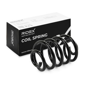 RIDEX 188C0617 Federn RENAULT CLIO 2 (BB0/1/2, CB0/1/2)