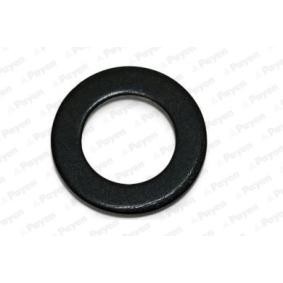 Kjøp Tetningsring, oljeplugg av PAYEN KG5348 til den lave prisen 436,97&nbsp;kr