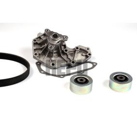 HEPU PK00548 Keilrippenriemensatz RENAULT LAGUNA 1 (B56, 556) 1.8 90 PS Otto