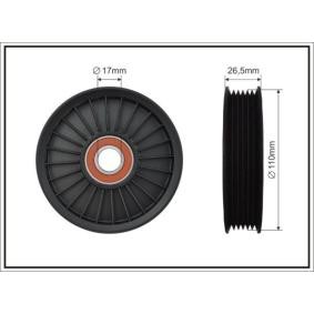 CAFFARO 500572 Poulie renvoi / transmission, courroie trapézoïdale à nervures CHEVROLET Aveo / Kalos 3/5 portes (T250, T255) 1.4 94 CV Essence