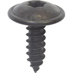 RESTAGRAF 12279 Moldura de puerta RENAULT SYMBIOZ