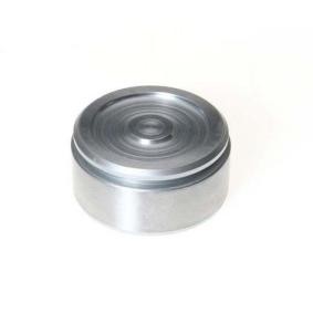 Comprar Émbolo, pinza del freno de BREMBO F PI 087 a bajo precio de 36,68&nbsp;&euro;