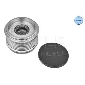 MEYLE 100 053 1004 Freilauf Lichtmaschine SEAT Ibiza 4 Sportcoupe (6J1, 6P5) 1.4 75 PS Diesel
