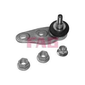 FAG 825 0312 10 Rótula de suspensão MINI Hatchback (R56) 2.0 112 cv Diesel