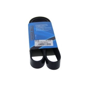 MAPCO 271040 Correia do alternador NISSAN Qashqai 2 (J11, J11_)