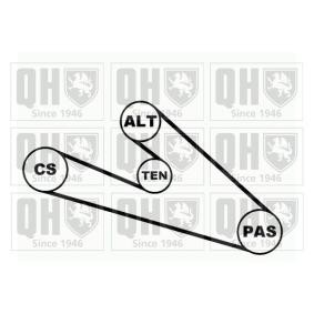 Compre Jogo de correias trapezoidais estriadas da QUINTON HAZELL QDK38 a um preço baixo por 56,59&nbsp;&euro;