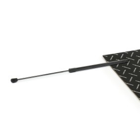 Osta Kaasujousi, tavaratila RIDEX:llä 219G0915 edullisesti hintaan 12,70&nbsp;&euro;