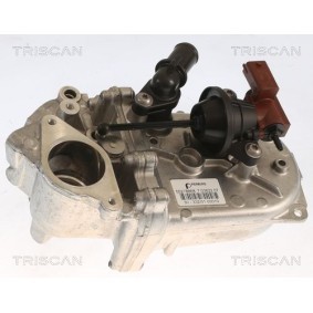 TRISCAN 8813 10107 EGR-kjøler CHRYSLER