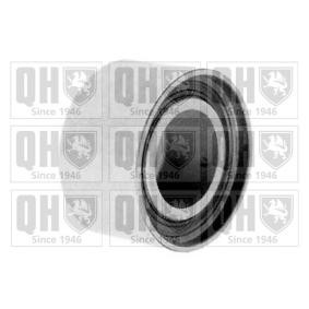 QUINTON HAZELL QTT955 Umlenk- / Führungsrolle, Keilrippenriemen RENAULT LAGUNA 1 (B56, 556) 2.9 190 PS Otto