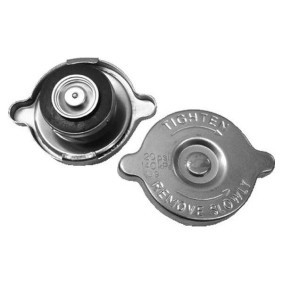 PLANET TECH PL2019 Kühlerdeckel CITROËN Xantia Schrägheck (X1_, X2_)