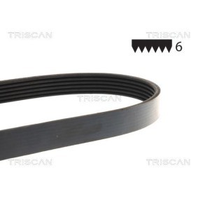 Achetez des Courroie Poly-V TRISCAN 8640 501680 à prix pour 36,39&nbsp;&euro;
