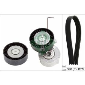 Keilrippenriemensatz von INA 529 0320 10