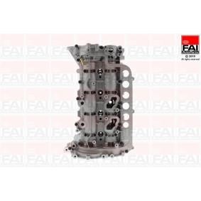 FAI AutoParts BCH092 Zylinderkopf RENAULT KOLEOS (HY_)