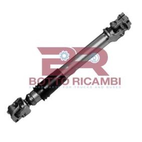 Osta Ohjausakseli BOTTO RICAMBI:llä BRST5268 edullisesti hintaan 928,08&nbsp;&euro;