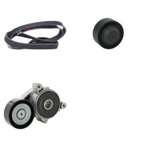 RIDEX 542R0119 Keilrippenriemensatz MITSUBISHI GRANDIS