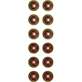 Ventilschaftdichtung-Satz 12-17509-02 für JEEP