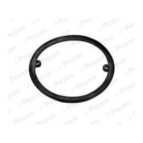 PAYEN KK5731 Guarnizione radiatore olio SKODA Fabia 2 (545) 1.4 70 CV Diesel