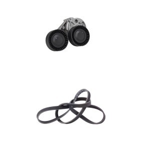 Keilrippenriemensatz 542R0216 VOLVO XC70 von RIDEX