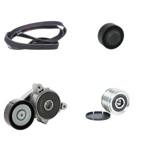 RIDEX 542R0395 Keilrippenriemensatz MITSUBISHI GRANDIS