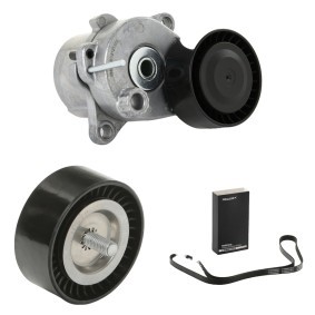 RIDEX 542R0470 Kit de courroie d'accessoire MERCEDES-BENZ Classe M