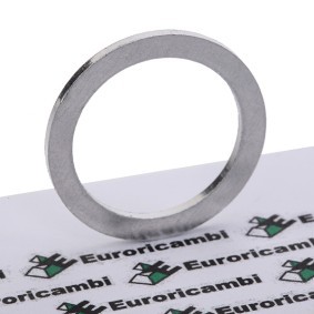 Euroricambi 95531568 Ölablassschraube VOLVO 960 II (964)