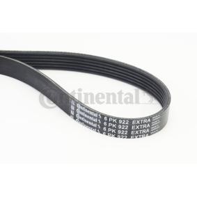 Compre Correia trapezoidal estriada da CONTITECH 6PK922 EXTRA a um preço baixo por 28,74&nbsp;&euro;