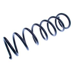 DENCKERMANN D700113 Molle FORD FOCUS Tre volumi (DFW)