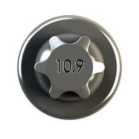 IPSA COB00800 Bullone di biella / dado di fissaggio ALFA ROMEO