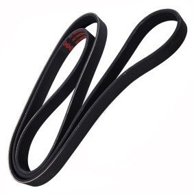 Acquista Cinghia servizi da MASTER-SPORT 6PK1700-PCS-MS a buon mercato per soli 16,02&nbsp;&euro;