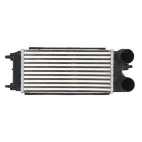 THERMOTEC DAG018TT Ladeluftkühler FORD KA