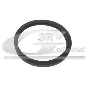 3RG 82642 Dichtung Thermostat  FIAT DUCATO Bus (230) 2.0 109 PS Otto