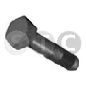 STC T402256 Riemenscheibenschraube CITROËN Xantia Schrägheck (X1_, X2_)