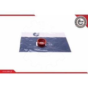 ESEN SKV 24SKV498 Tubo de admisión MINI Clubman (R55)