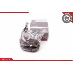 ESEN SKV 29SKV202 Radlager BMW 5 Touring (E61) 3.0 211 PS Otto