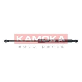 KAMOKA 7092464 Kofferraum RENAULT Symbol
