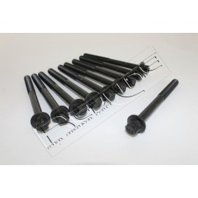 RED-LINE 00NI027 Zylinderkopfschrauben RENAULT MEGANE 3 Grandtour (KZ0/1) 2.0 140 PS Otto