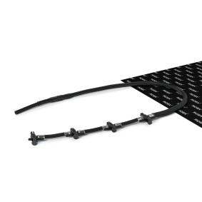 RIDEX 3937H0019 Rampa de injeção BMW