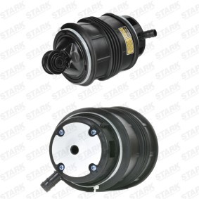 Compre Mola pneumática da STARK SKASS-1850055 a um preço baixo por 838,00&nbsp;&euro;