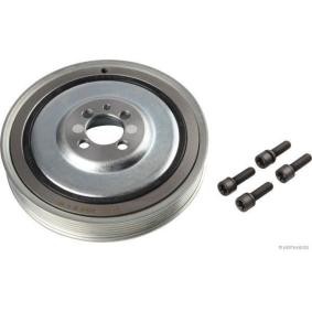 Comprar Polea de cigüeñal de HERTH+BUSS JAKOPARTS J1098009 a bajo precio de 75,67&nbsp;&euro;