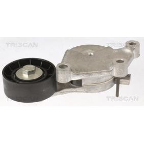 TRISCAN 8641 103053 Spannrolle CITROËN C3 I Schrägheck (FC_, FN_) 1.4 68 PS Diesel