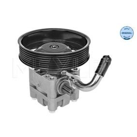 SUZUKI Ohjaustehostimen pumppu MEYLE 33-14 631 0000