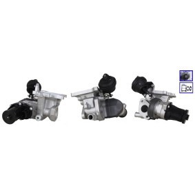 ELSTOCK 73-0419 AGR Ventil VOLVO V90 II Kombi (235, 236)