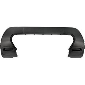 DACIA Zierleiste, Stoßstange DIEDERICHS 4561052