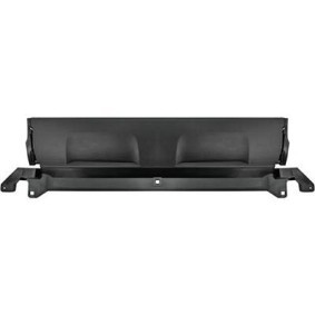 DACIA Zierleiste, Stoßstange DIEDERICHS 4561062