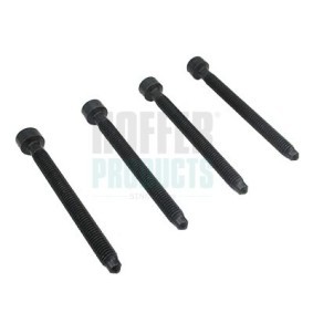 HOFFER 80298093 Hochdruckpumpe AUDI A2