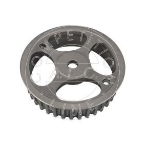 AIC 57884 Nockenwelle RENAULT THALIA 2 (LU1/2) 1.4 98 PS Otto