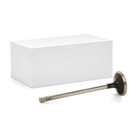 RIDEX 1270O0049 Auslaßventil CITROËN BERLINGO Kasten (B9)