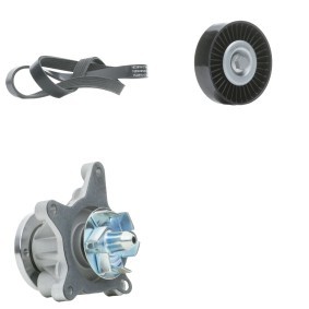 Compre Jogo de correias trapezoidais estriadas da RIDEX 542R0601 a um preço baixo por 49,72&nbsp;&euro;