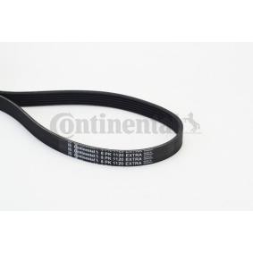 Compre Correia trapezoidal estriada da CONTITECH 6PK1120 EXTRA a um preço baixo por 19,07&nbsp;&euro;